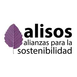 Alisos
