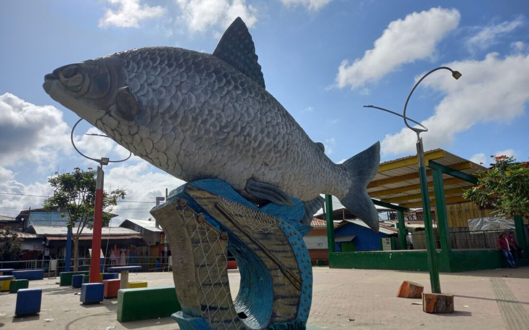 Pedeguita Jiguamiandó REDD+